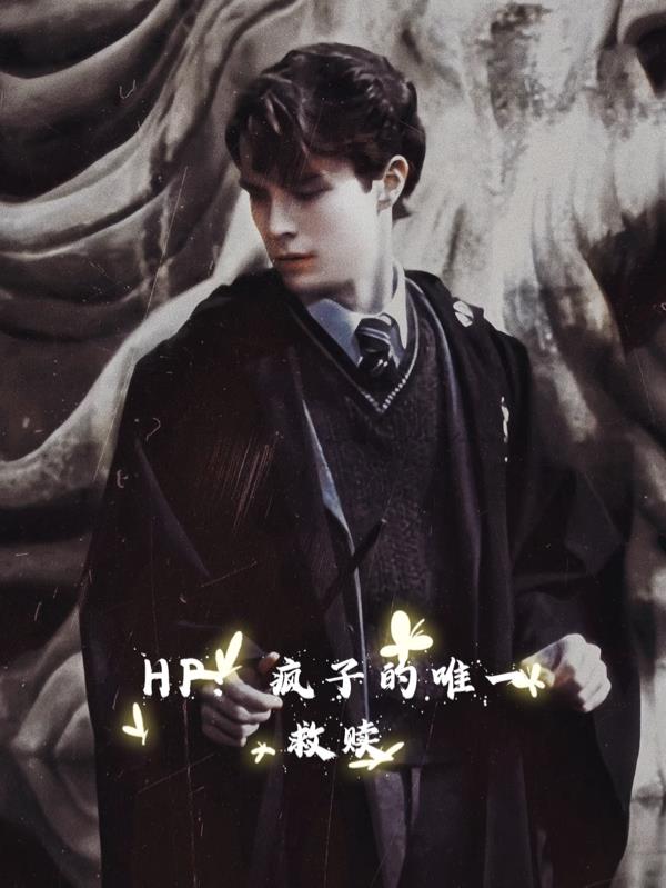 HP：疯子的唯一救赎免费阅读